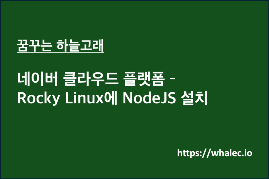 네비어 클라우드 플랫폼 - Rocky Linux에 NodeJS 설치