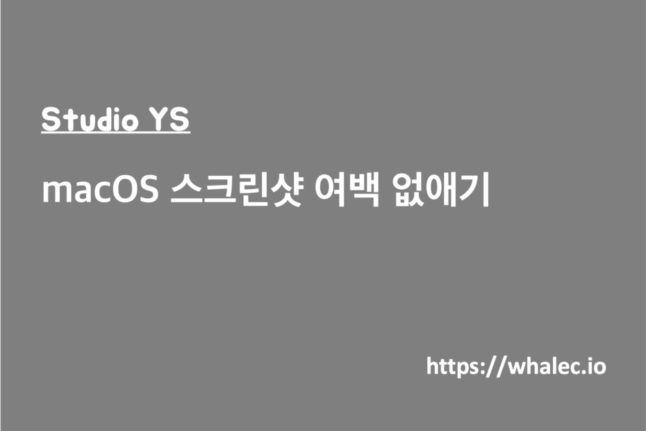 macOS 스크린샷 여백 없애기